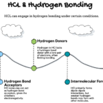 Can HCl Form Hydrogen Bonds